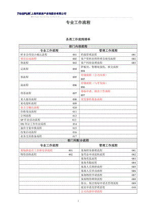 专业工作流程111.docx