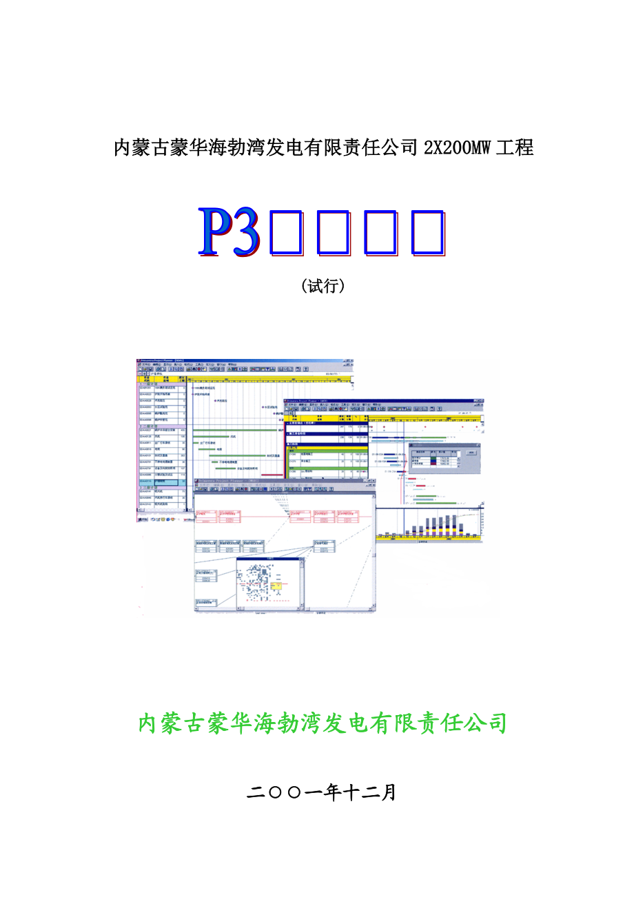 某集团发电工程P3管理手册.docx_第1页