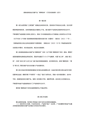 湖南省制造业关键产品“揭榜挂帅”项目实施细则（试行）.docx