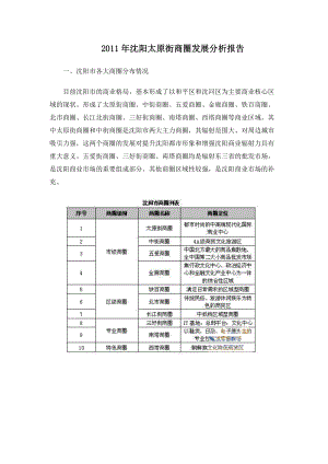 XXXX年沈阳太原街商圈发展分析报告.docx