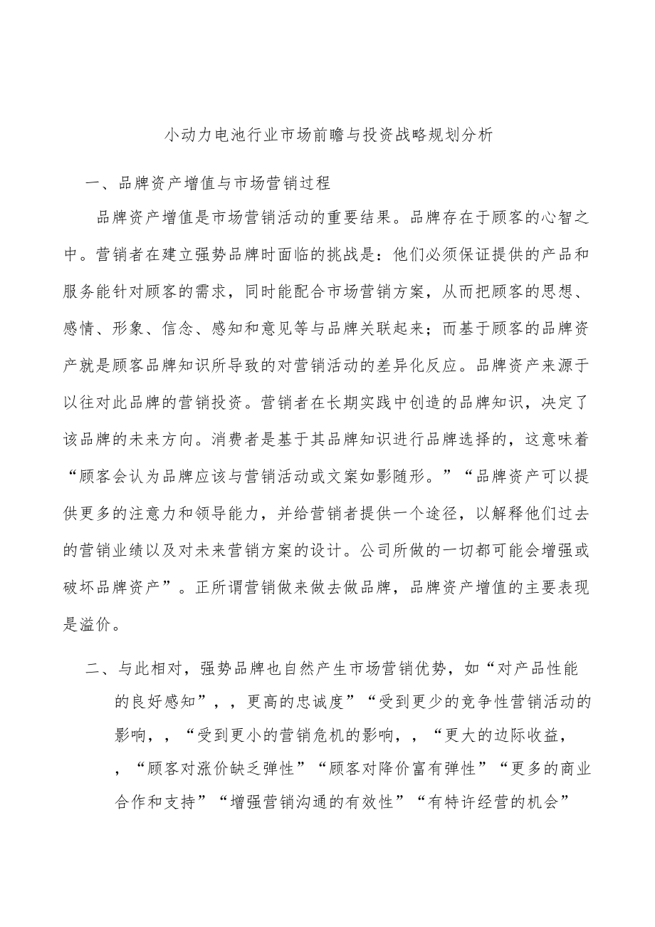 小动力电池行业市场前瞻与投资战略规划分析.docx_第1页