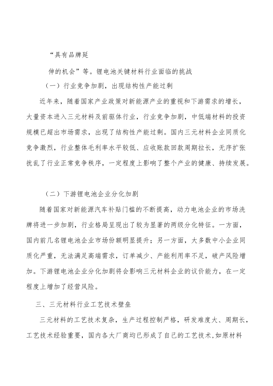 小动力电池行业市场前瞻与投资战略规划分析.docx_第2页