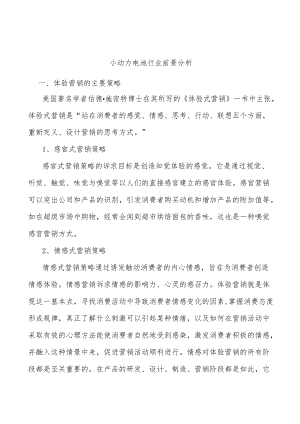 小动力电池行业前景分析.docx