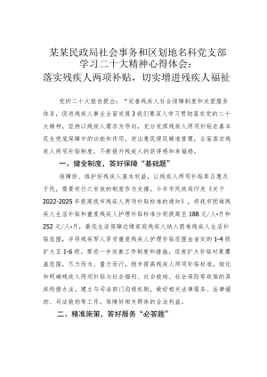 某某民政局社会事务和区划地名科党支部学习二十大精神心得体会：落实残疾人两项补贴切实增进残疾人福祉.docx