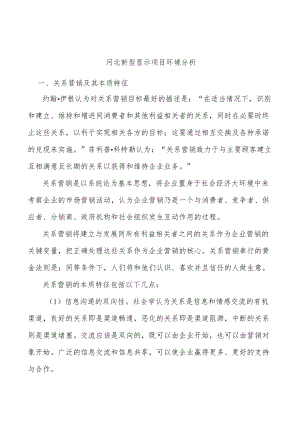 河北新型显示项目环境分析.docx