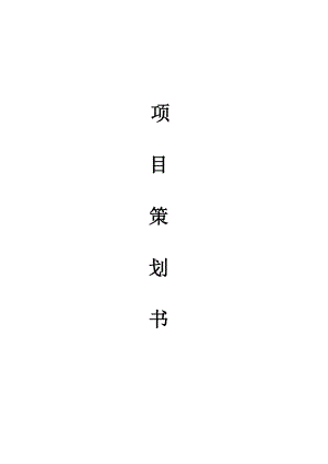 企业项目策划书.docx