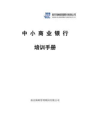 南京海略管理顾问有限公司.docx