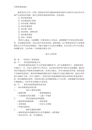 全程策划的建议.docx