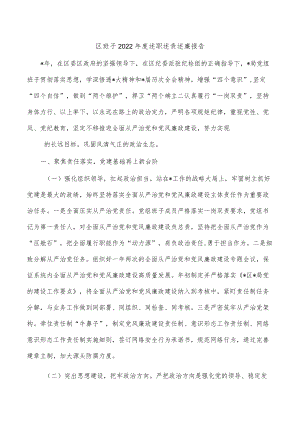 区班子2022年度述职述责述廉报告.docx