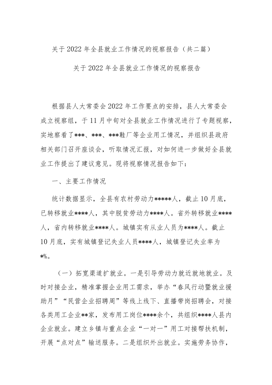 关于2022年全县就业工作情况的视察报告(共二篇).docx_第1页