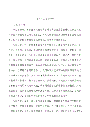 优势产业行动计划.docx