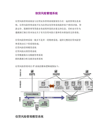 信贷风险管理系统分析.docx