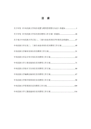 中央民族大学岗位设置与聘用管理暂行办法.docx