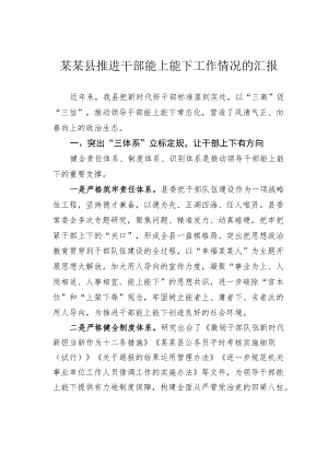 某某县推进干部能上能下工作情况的汇报.docx