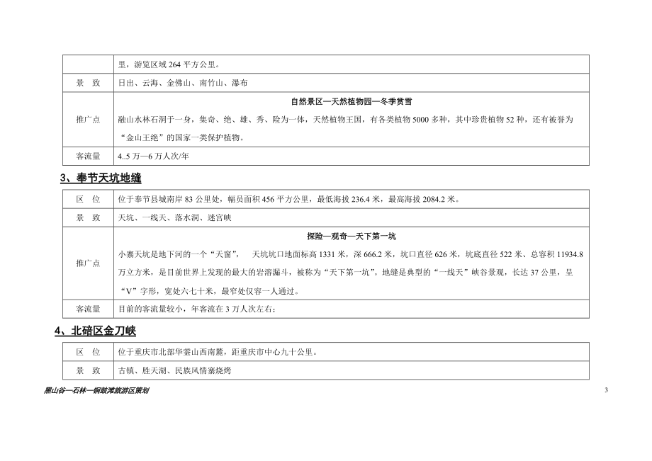 万盛策划全案1(1).docx_第3页