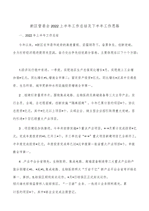 新区管委会2022上半年工作总结及下半年工作思路.docx