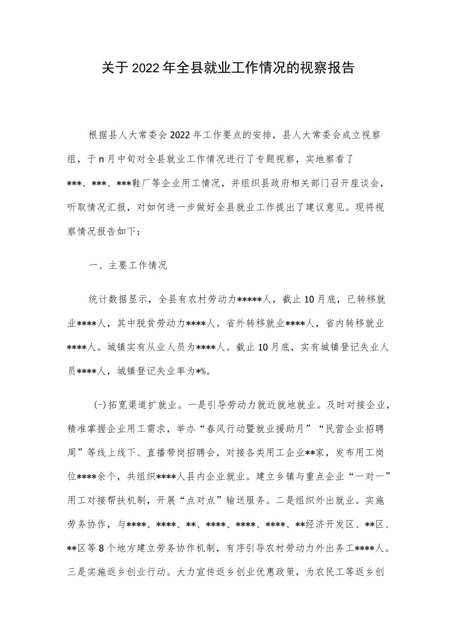 关于2022年全县就业工作情况的视察报告.docx_第1页