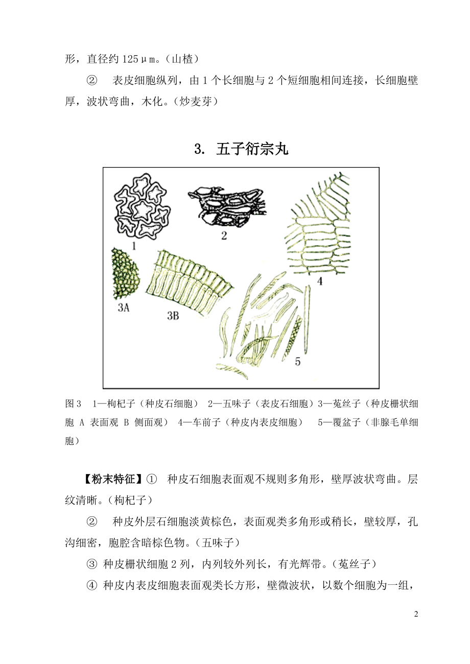 产品显微图（DOC47页）.docx_第2页