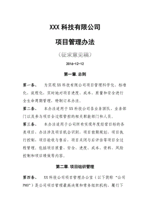 信息化企业项目管理办法.docx