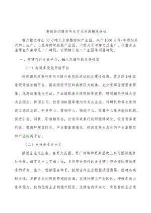 贵州纺织服装所处行业发展概况分析.docx