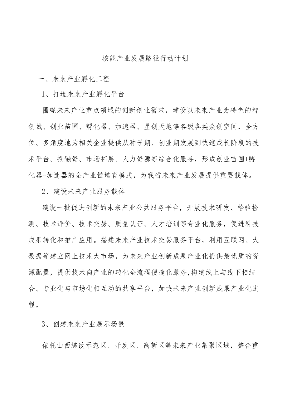 核能产业发展路径行动计划.docx_第1页