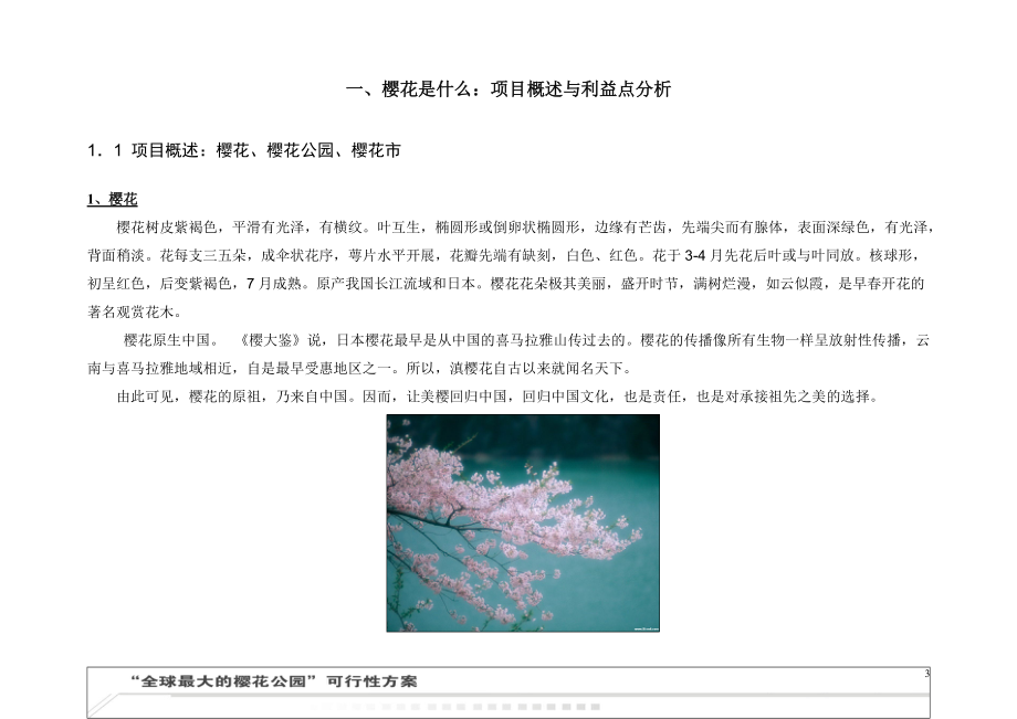 主题公园策划：赏樱归来不看花30.docx_第3页