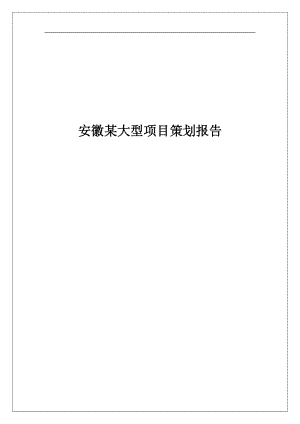 安徽某大型项目研究策划报告.docx