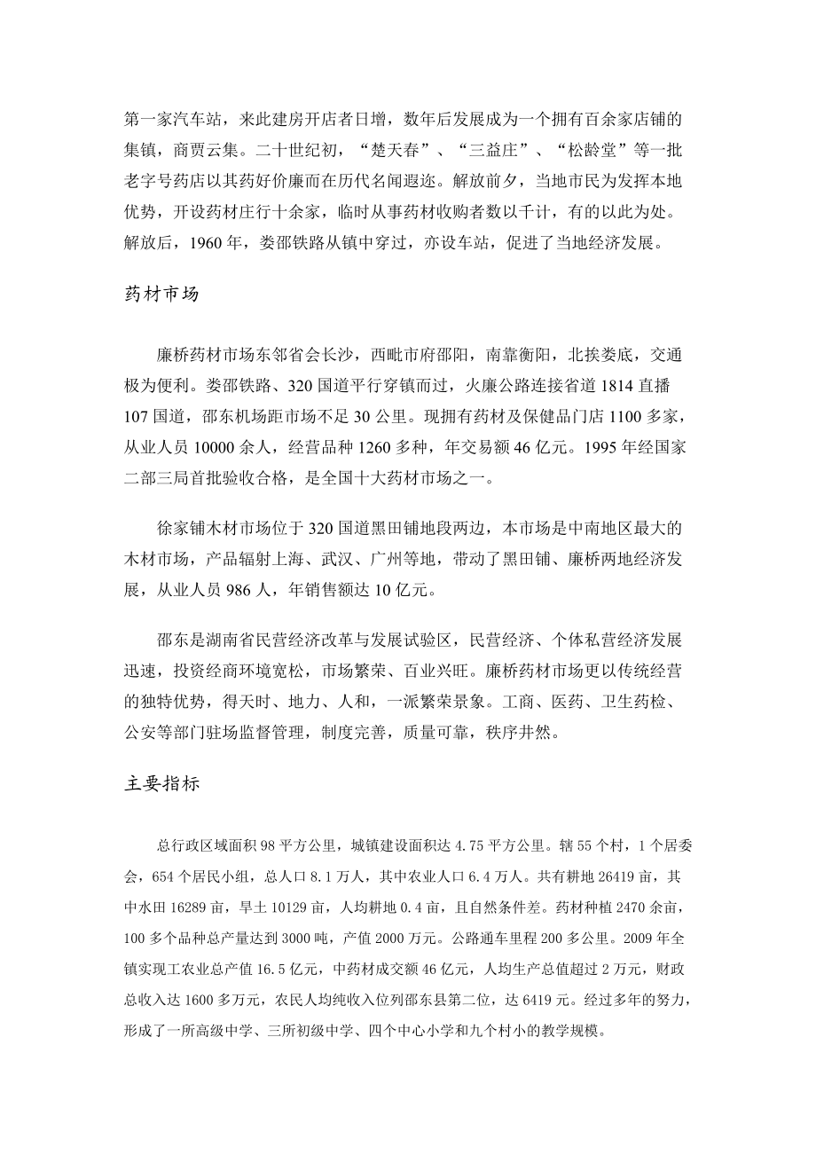 廉桥药都经济发展战略规划.docx_第2页