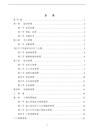 某公司项目管理办法（DOC 216页）.docx