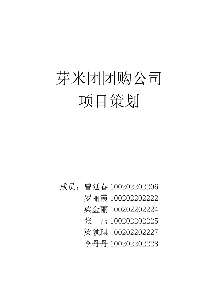 某团购公司项目策划.docx_第1页