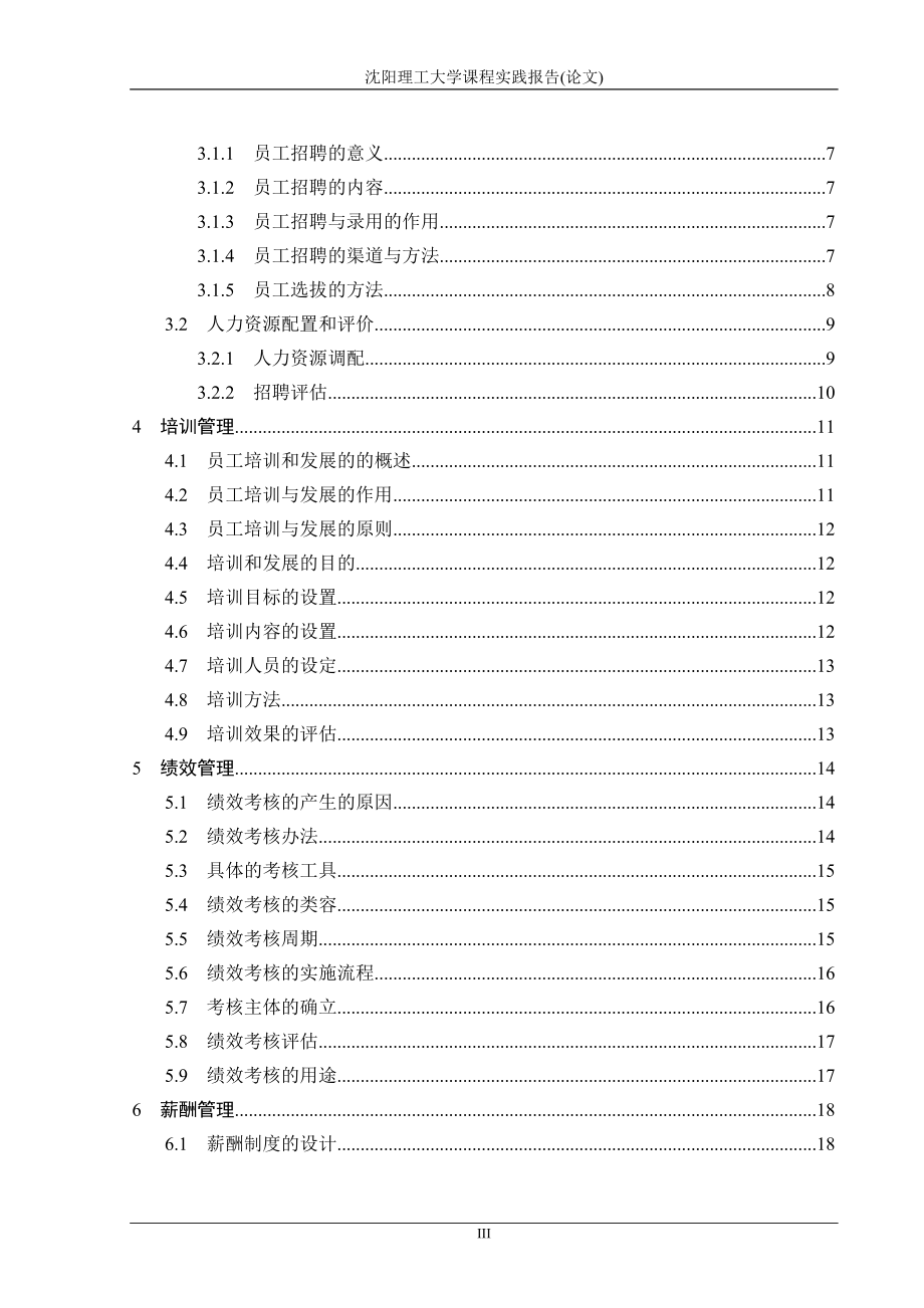 某某服饰有限公司人力资源管理策划书.doc_第3页