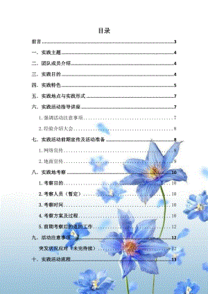 大连理工大学赴葫芦岛市“民生‘企’航”实践队策划书.docx