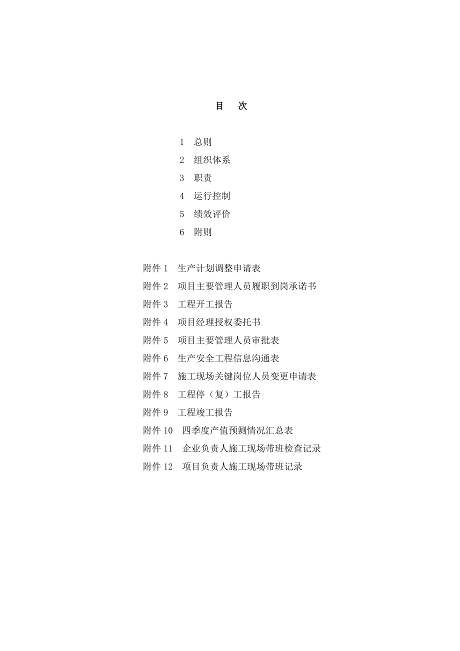 某建设集团有限公司生产管理办法.docx_第2页