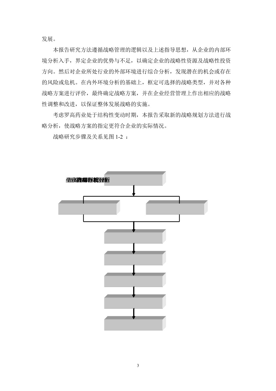 广西某药业发展战略研究报告.docx_第3页