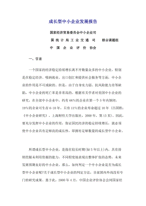 成长型中小企业发展报告.docx