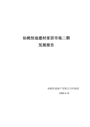 恒迪建材家居市场2期发展报告.docx