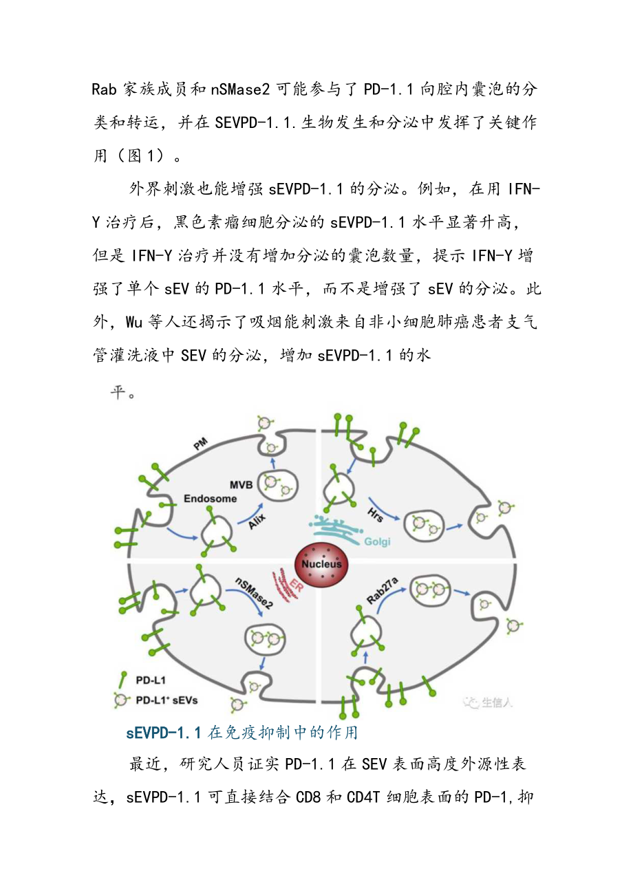 NPJ（IF=10.092）综述 早筛标记物：胞外囊泡PD-L1.docx_第3页