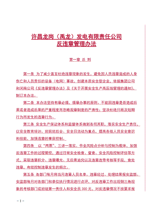 某发电有限责任公司反违章管理办法.docx