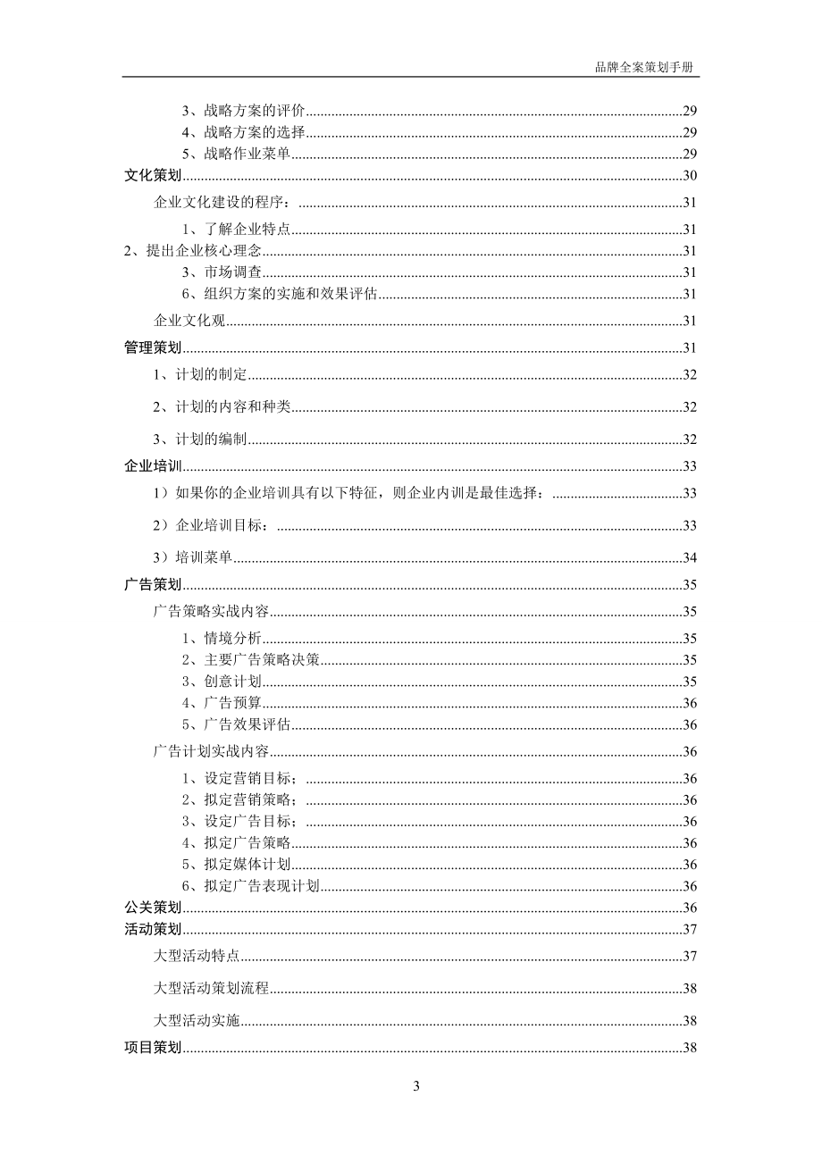 某品牌全案策划手册.docx_第3页