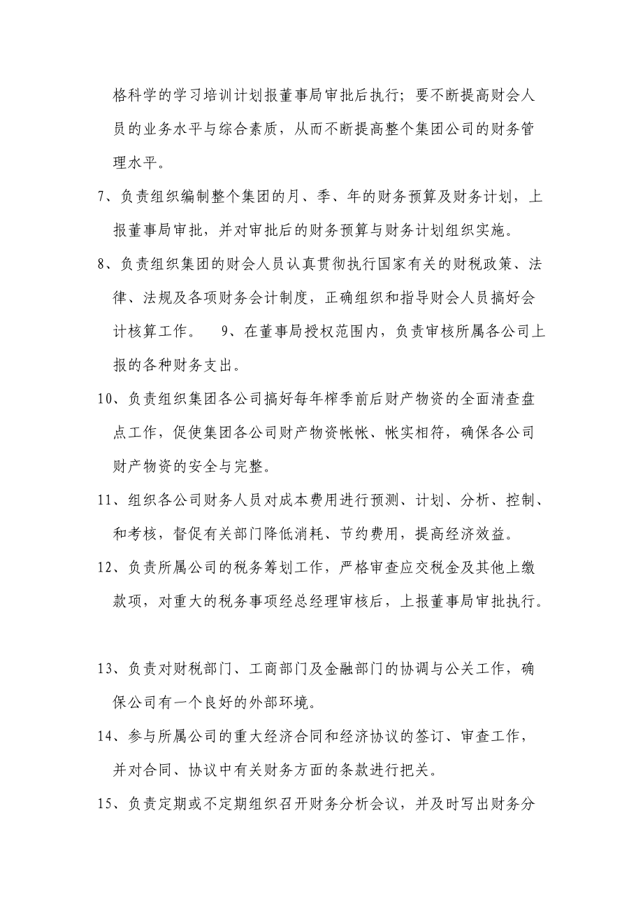 某大型集团财务管理制度.docx_第3页