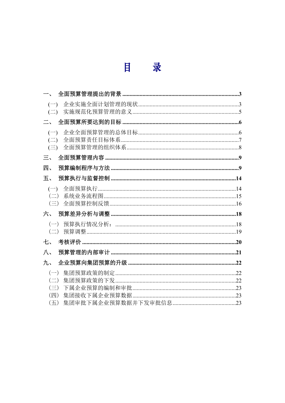 某企业全面预算管理方案.docx_第2页