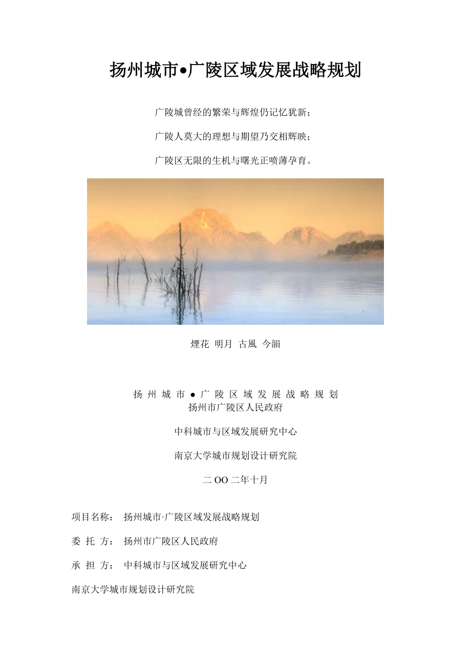 扬州某区域发展战略规划.docx_第1页