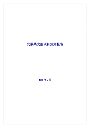 安徽某大型混合项目策划报告.docx