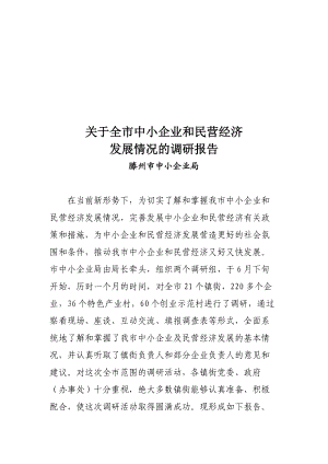 对全市中小企业与民营经济发展情况的调研报告.docx