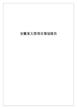 安徽某大型项目策划报告38(1).docx