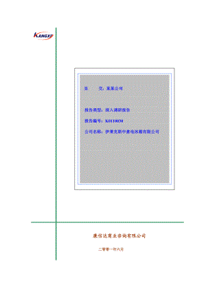 某冰箱公司深入调研报告.docx