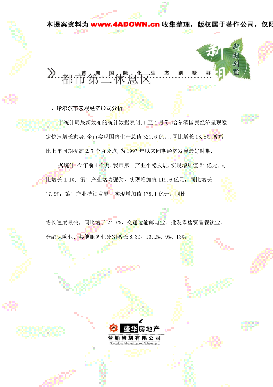 哈尔滨新湖别墅策划.docx_第2页