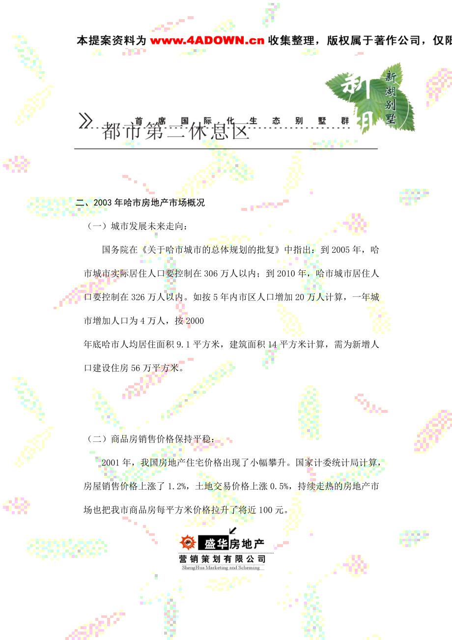 哈尔滨新湖别墅策划.docx_第3页