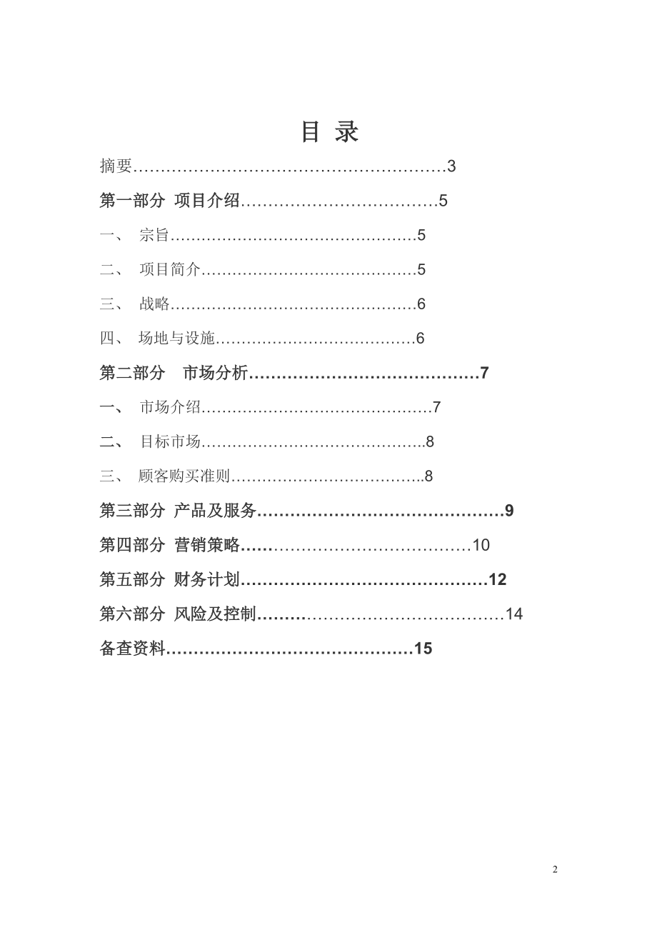 手绘项目--策划书(终稿).docx_第2页