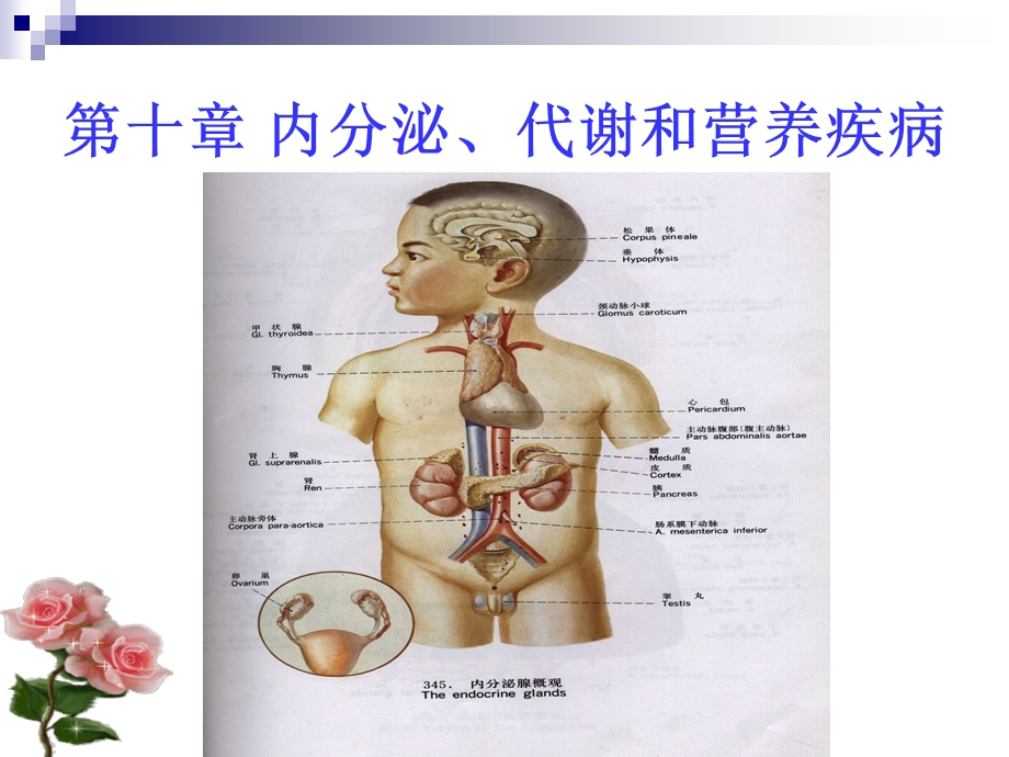 总论及各论课件.ppt_第1页